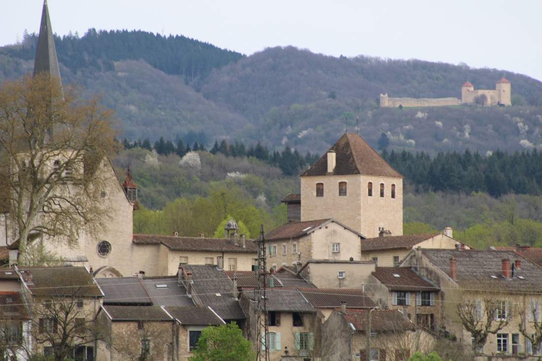 Randonnées pédestre autour d'Ambronay